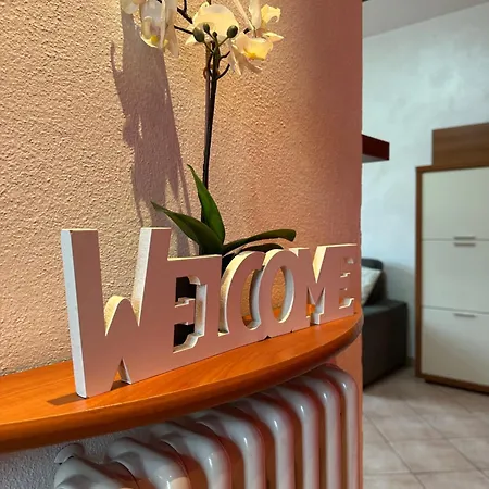 Comfy In 2 Apartment *